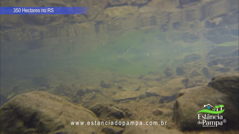 DJI_0007.00_01_14_21.Quadro015_77a1fbe4686097eac5b81031119523dd6e24c0f6.jpg