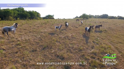 DJI_0007.00_02_10_12.Quadro045_9ad4519dd7bc0e4a3f03c7340773863b9f83f827.jpg