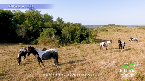 DJI_0007.00_02_34_08.Quadro058_9b04a8ce660c24e53102537dc9f58660f8a29b52.jpg