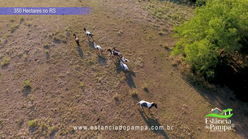 DJI_0007.00_02_52_13.Quadro073_58a65d8427fd840b714c5f74ddffcb1bd82e25ca.jpg