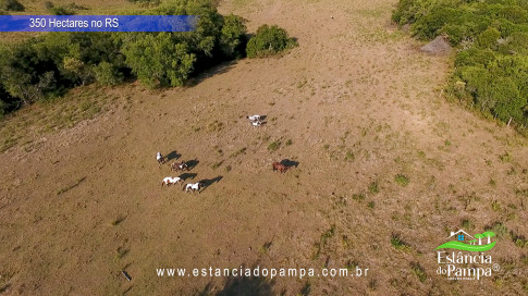 DJI_0007.00_03_11_00.Quadro076_dcddfd9df628f499bd683fd3915a75ecc5304edb.jpg