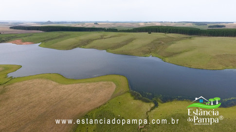 DJI_0018.00_01_09_07.Quadro008_2a90ff50edf8025098a2f7d9872f4667dccadf64.jpg
