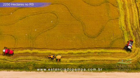 DJI_0032.00_00_07_01.Quadro001.00_01_09_13.Quadro037_c6d46a8b3fd6ba90b7f88652dd93d3ac977f92e4.jpg