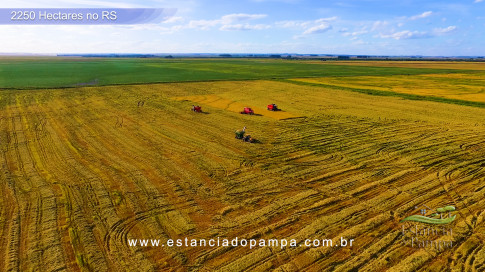 DJI_0032.00_00_07_01.Quadro001.00_01_50_10.Quadro052_759b341f3ed62b0fe8db50bdf42fa34c641d37c5.jpg