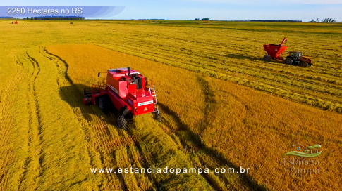 DJI_0032.00_00_07_01.Quadro001.00_03_22_23.Quadro088_ba1077874de84c366376484363f90df086b2afeb.jpg