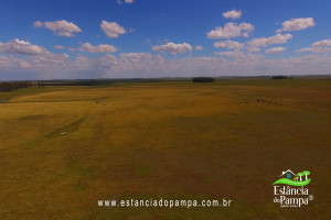 DJI_0074.00_04_39_21.Quadro020.00_00_22_00.Quadro005_5279b0231d825b5761f5c44af1670a41bd82e482.jpg