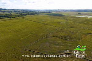 DJI_0303.00_02_04_26.Quadro045_eb0c2de92c19c54561f7820b87a7200a532280b5.jpg